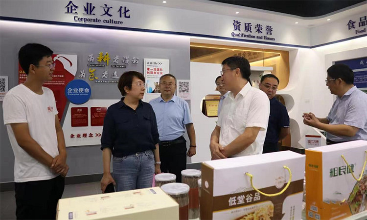 指导性建议 指导性建议