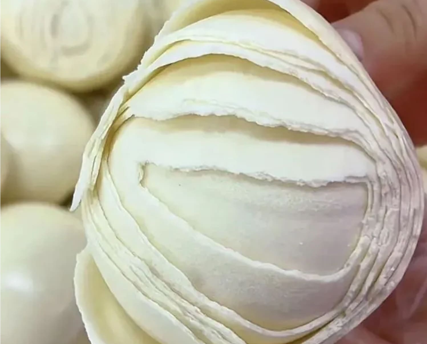 1754637547635707.jpg iScreen Shoter - Safari浏览器 - 250808151549.jpg